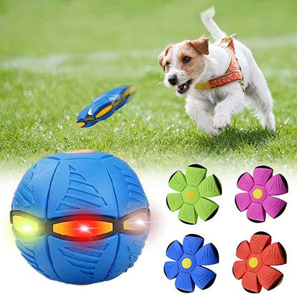 Premium Dog Frisbee
