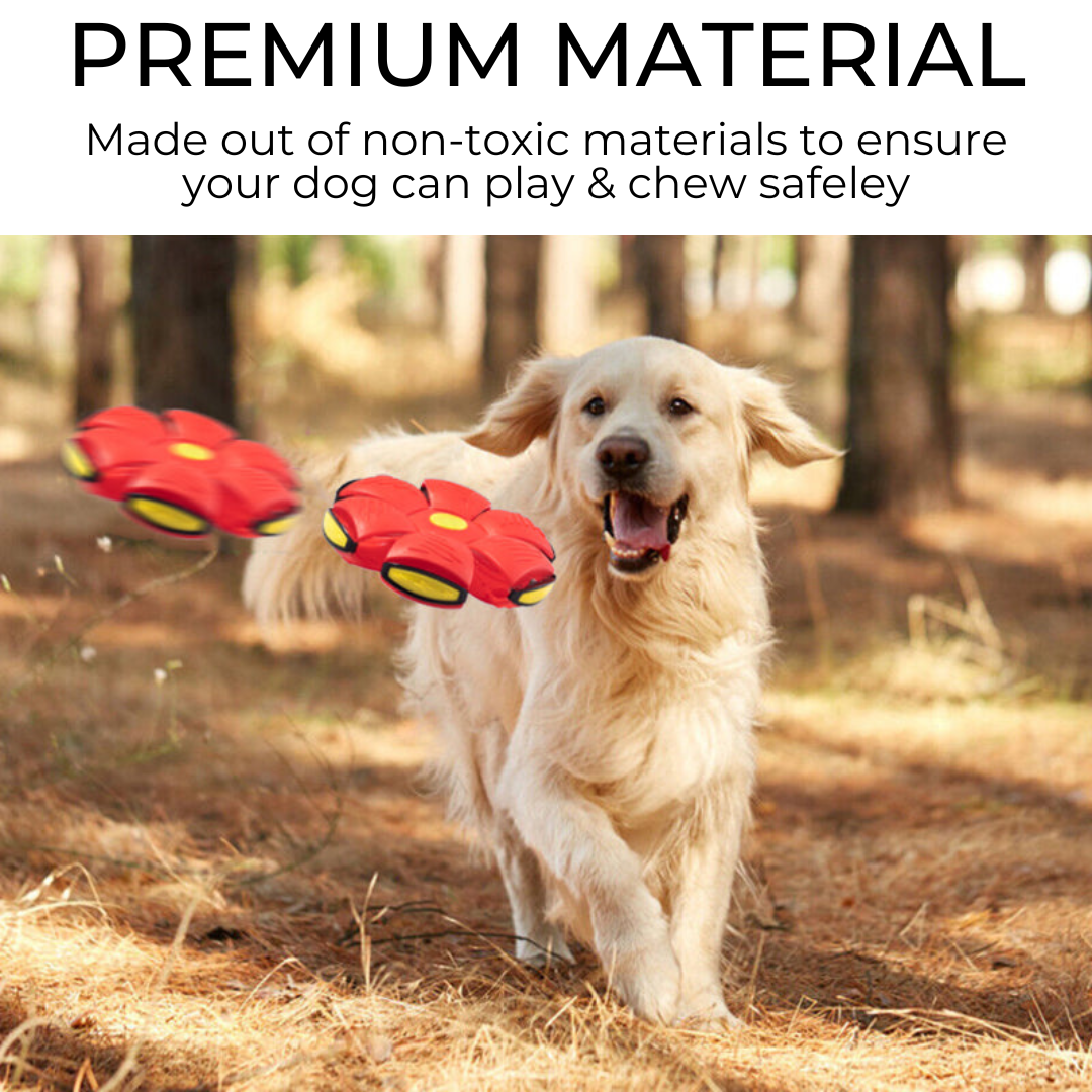 Premium Dog Frisbee